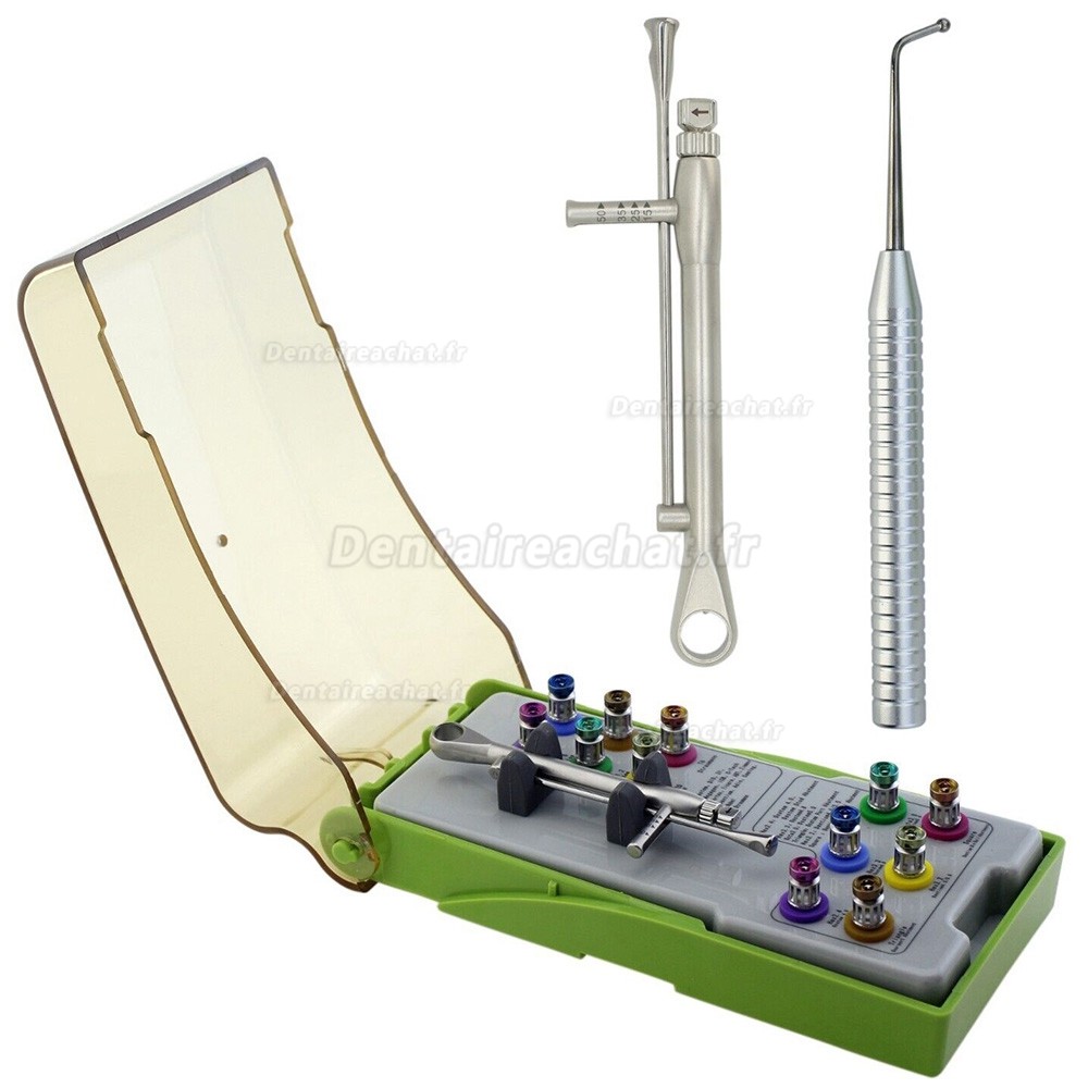 Kit Prothétique Implant Dentaire Universel Tournevis de Pilier Dentaire avec Clé Dynamométrique