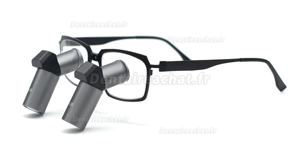 Loupes binoculaires chirurgicales dentaire Micare JENM-650X ERGO 6.5X TTL