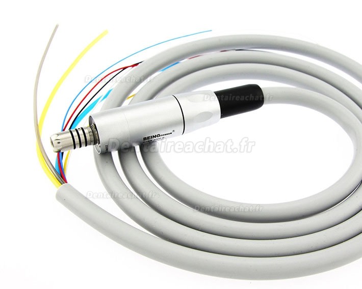 Being® Rose 4000 micromoteur électrique dentaire intégré + Being 202CAP-B fibre optique contre-angle bague bule